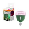 Lámparas Osram E27 20 Watt 650 Lumen
