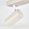 Javel Plafones Color arena, 4 luces