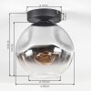 Ripoll Plafones, Luminarias esféricas Cromo, Transparente, Ahumado, 1 luz