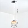 Koyoto Lámparas suspendidas, Luminarias esféricas, Lámparas colgantes Colores ámbar, Transparente, 1 luz