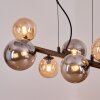 Chehalis Lámparas suspendidas, Luminarias esféricas, Lámparas colgantes Colores ámbar, Ahumado, 8 luces