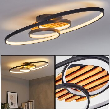 Garol Plafones LED Crudo, Negro, 1 luz