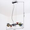 Chehalis Lámparas suspendidas, Luminarias esféricas, Lámparas colgantes Azul, Verde, Transparente, Color cobre, 8 luces