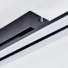 Fenol Plafones LED Negro, 1 luz
