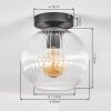 Koyoto Plafones, Luminarias esféricas 20 cm Transparente, 1 luz