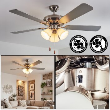 Stelo Plafones, lámpara ventilador de techo Crudo, Níquel-mate, Plata, 3 luces