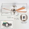 Stelo Plafones, lámpara ventilador de techo Crudo, Níquel-mate, Plata, 3 luces