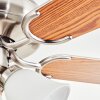Stelo Plafones, lámpara ventilador de techo Crudo, Níquel-mate, Plata, 3 luces