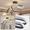 Halon Plafones LED Negro, 1 luz