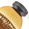 Koyoto Plafones, Luminarias esféricas 20 cm dorado, 1 luz