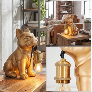 Harol Lámparas de mesa dorado, 1 luz