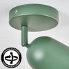 Horen Plafones, Spot techo Verde, 1 luz