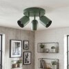 Horen Plafones, Spot techo Verde, 3 luces