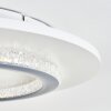 Lidor Plafones LED Gris, Blanca, 1 luz