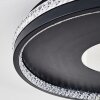 Halin Plafones LED Negro, Transparente, claro, 1 luz, Mando a distancia