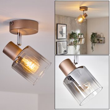 Casterk Plafones, Spot techo Marrón, Cromo, 1 luz