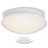 Brilliant Fakir Lámpara de techo o pared LED Blanca, 1 luz, Sensor de movimiento
