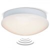Brilliant Fakir Lámpara de techo o pared LED Blanca, 1 luz, Sensor de movimiento