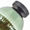 Koyoto Plafones, Luminarias esféricas 20 cm Verde, 1 luz