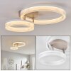 Jalek Plafones LED Color arena, 1 luz