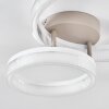 Jalek Plafones LED Color arena, 1 luz