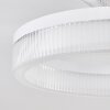 Jalek Plafones LED Color arena, 1 luz