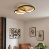 Baiyin Plafones LED dorado, Negro, 1 luz