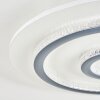 Lidor Plafones LED Gris, Blanca, 1 luz, Mando a distancia