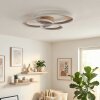 Baiyin Plafones LED Marrón, Blanca, 1 luz