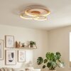 Baiyin Plafones LED Marrón, Blanca, 1 luz