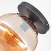 Koyoto Plafones, Luminarias esféricas 25 cm Colores ámbar, 1 luz