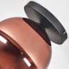 Koyoto Plafones, Luminarias esféricas 25 cm Color cobre, 1 luz