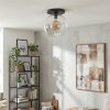 Koyoto Plafones, Luminarias esféricas 30 cm Transparente, 1 luz