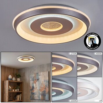 Dakon Plafones LED Color champán, Blanca, 1 luz