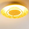 Mala Lámpara de Techo LED dorado, 1 luz