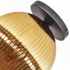 Koyoto Plafones, Luminarias esféricas 30 cm dorado, 1 luz