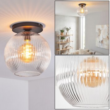 Koyoto Plafones, Luminarias esféricas 30 cm Transparente, 1 luz