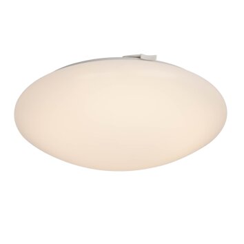 AEG Basic Lámpara de techo LED Blanca, 1 luz