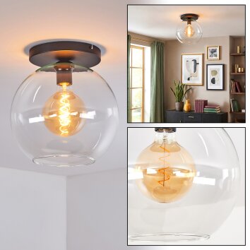 Koyoto Plafones, Luminarias esféricas 30 cm Transparente, 1 luz