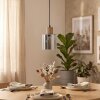 Mador Lámparas suspendidas, Lámparas colgantes Crudo, Negro, 1 luz