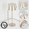 Salgadinho Lámpara de mesa de exterior, Lámparas de mesa LED Color champán, 1 luz