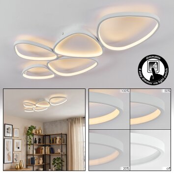 Molin Plafones LED Blanca, 1 luz