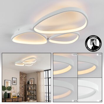 Molin Plafones LED Blanca, 1 luz