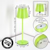 Salgadinho Lámpara de mesa de exterior, Lámparas de mesa LED Verde, 1 luz