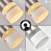 Molten Lámparas suspendidas, Lámparas colgantes LED Níquel-mate, 1 luz