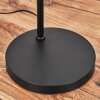 Flisa Lámpara de pie Negro, 1 luz