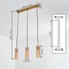 Velune Lámparas suspendidas, Lámparas colgantes dorado, 3 luces