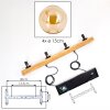Gastor Lámparas suspendidas, Luminarias esféricas, Lámparas colgantes Crudo, Negro, 4 luces