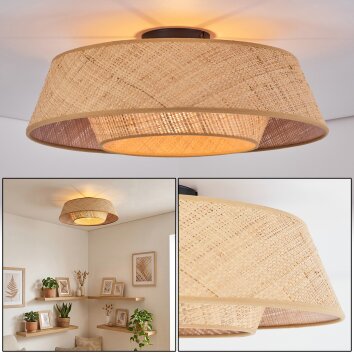 Orvex Plafones Negro, 1 luz