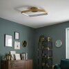 Talora Plafones LED Latón, 1 luz